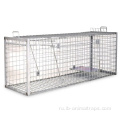 Fox Wild Choar Cage Trap на продажу